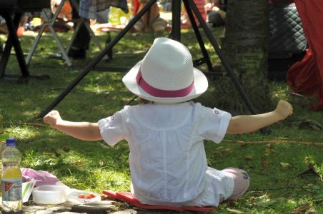 orig_18072010-STIP-zaches-zinnober-0202